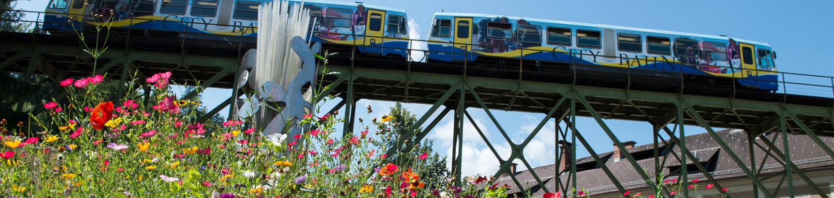 Citybahn f&auml;hrt &uuml;ber Br&uuml;cke Froschperspektive und Blumenwiese