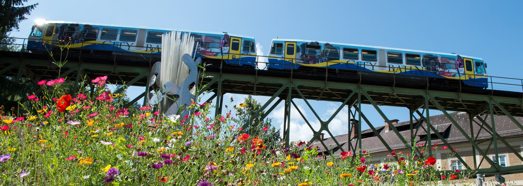 Citybahn fährt über Brücke Froschperspektive und Blumenwiese